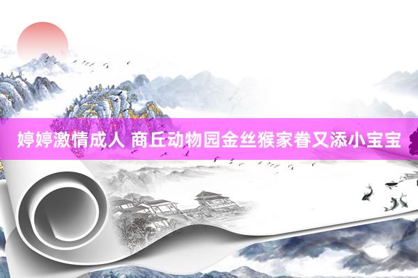 婷婷激情成人 商丘动物园金丝猴家眷又添小宝宝