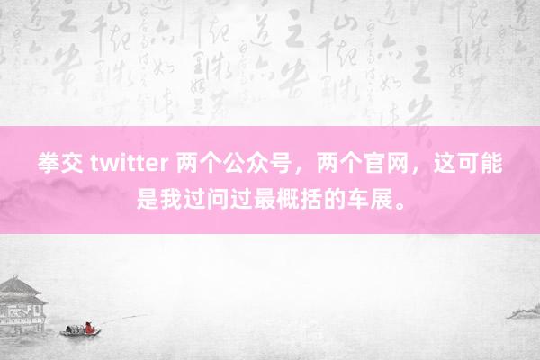 拳交 twitter 两个公众号，两个官网，这可能是我过问过最概括的车展。