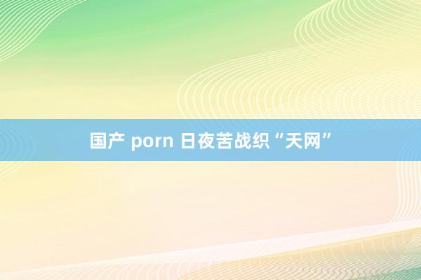 国产 porn 日夜苦战织“天网”