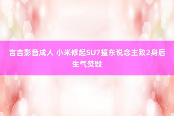 吉吉影音成人 小米修起SU7撞东说念主致2身后生气焚毁