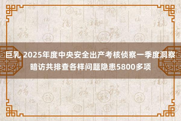 巨乳 2025年度中央安全出产考核侦察一季度洞察暗访共排查各样问题隐患5800多项