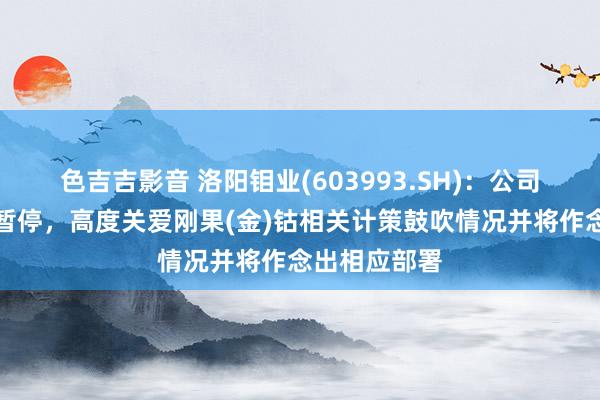 色吉吉影音 洛阳钼业(603993.SH)：公司钴居品出口暂停，高度关爱刚果(金)钴相关计策鼓吹情况并将作念出相应部署