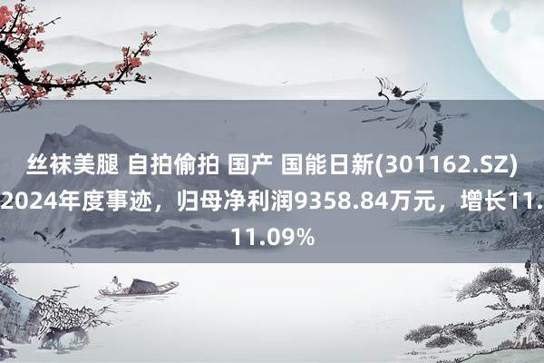 丝袜美腿 自拍偷拍 国产 国能日新(301162.SZ)发布2024年度事迹，归母净利润9358.84万元，增长11.09%