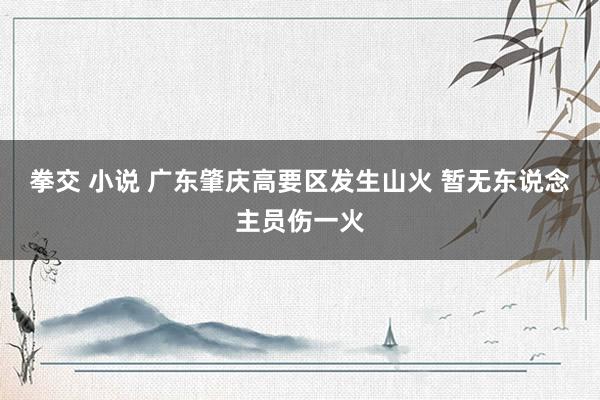 拳交 小说 广东肇庆高要区发生山火 暂无东说念主员伤一火