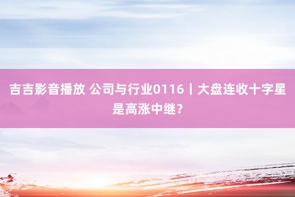 吉吉影音播放 公司与行业0116丨大盘连收十字星是高涨中继？