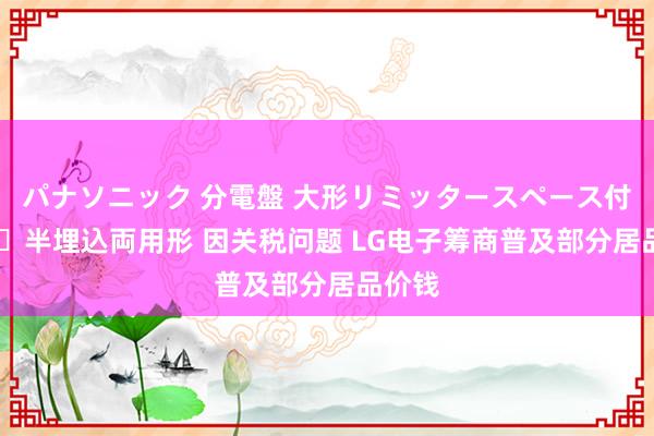 パナソニック 分電盤 大形リミッタースペース付 露出・半埋込両用形 因关税问题 LG电子筹商普及部分居品价钱