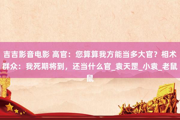 吉吉影音电影 高官：您算算我方能当多大官？相术群众：我死期将到，还当什么官_袁天罡_小袁_老鼠