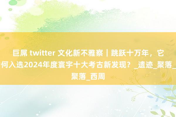 巨屌 twitter 文化新不雅察｜跳跃十万年，它们为何入选2024年度寰宇十大考古新发现？_遗迹_聚落_西周