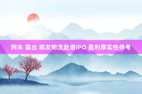 阿朱 露出 顺友物流赴港IPO 盈利厚实性待考