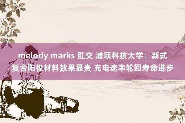 melody marks 肛交 浦项科技大学：新式复合阳极材料效果显贵 充电速率轮回寿命进步