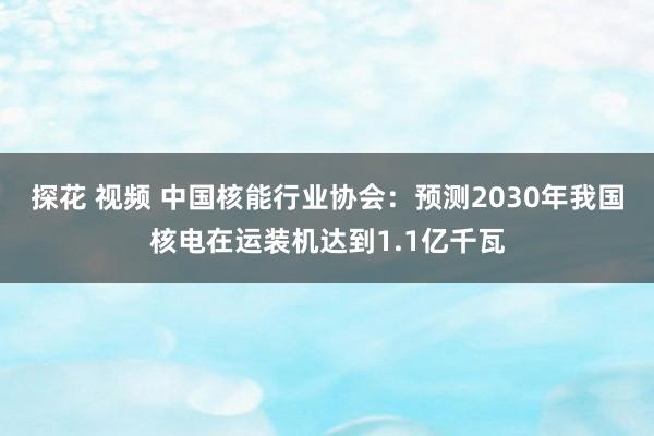 探花 视频 中国核能行业协会：预测2030年我国核电在运装机达到1.1亿千瓦