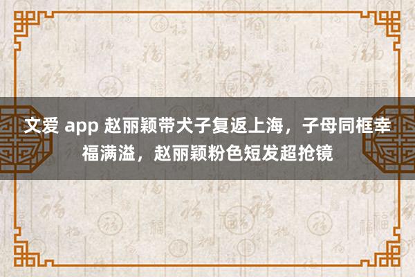 文爱 app 赵丽颖带犬子复返上海，子母同框幸福满溢，赵丽颖粉色短发超抢镜