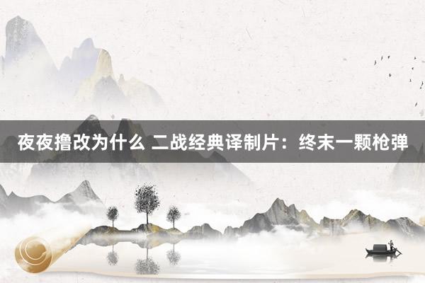 夜夜撸改为什么 二战经典译制片：终末一颗枪弹
