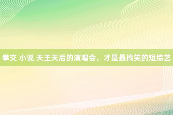 拳交 小说 天王天后的演唱会，才是最搞笑的短综艺